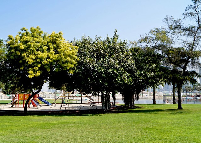 درختهای پارک صفا در شهر دبی